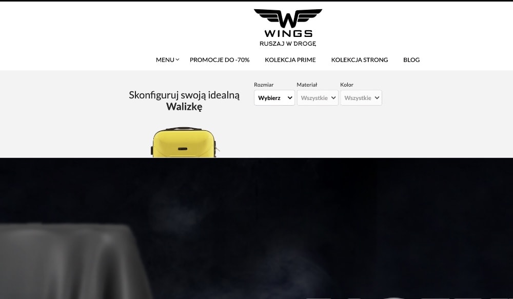 Featured image for Wings24.pl – opinie, asortyment. Czy warto robić tu zakupy?